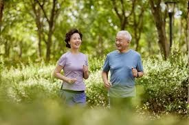 台北大巨蛋宣布 2026 赛季将增加 10 场 CPBL 主场场次，旨在打造“亚洲棒球新殿堂”